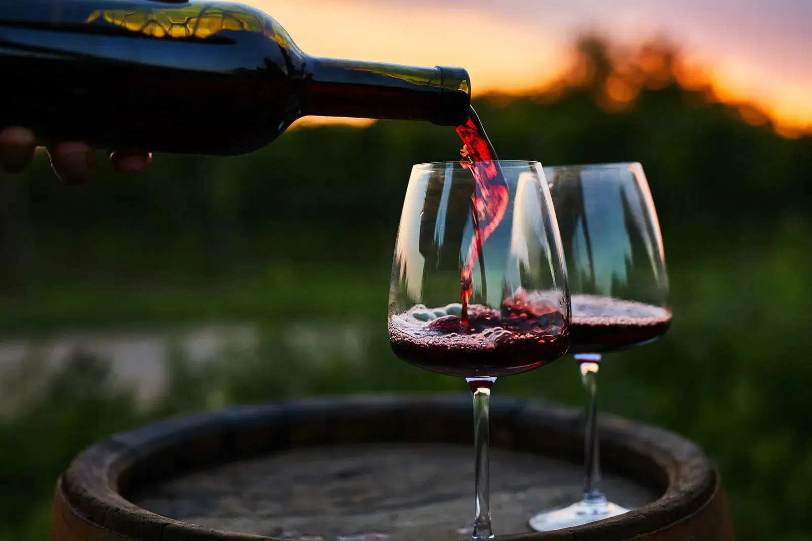 Vinos y Champagne